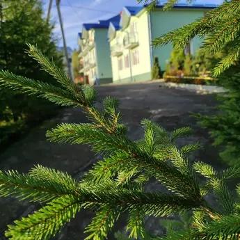 Comfort accommodations, Skhidnytsia - apartment by the day