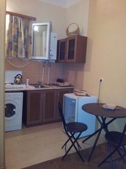 1 bedroom apartment for rent Tbilisi, Tbilisi - günlük kira için daire