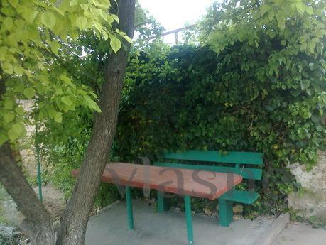 Недорогий відпочинок у Міжводному (Крим), Чорноморське - квартира подобово