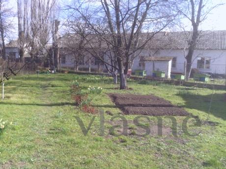 Дом и сад,возле замка,оренда велосипедов, Мукачево - квартира посуточно