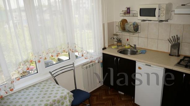1 bedroom apartment on the Suvorov Str, Penza - günlük kira için daire