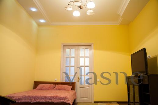 VIP One-bedroom apartment in the center, Lviv - apartment by the day