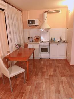 Apartment in the center of Saratov, Saratov - günlük kira için daire