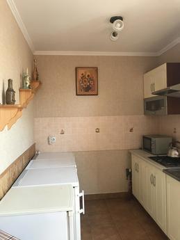 Salon Kiralama Bilya Termal Havuzlar, Berehovo - günlük kira için daire