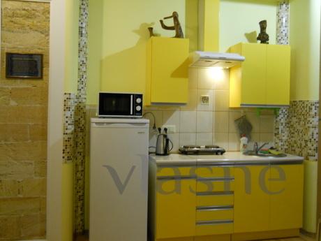 Apartment near the Deribasovskaya, Odessa - günlük kira için daire