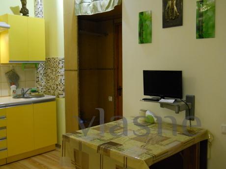 Apartment near the Deribasovskaya, Odessa - günlük kira için daire