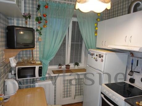 excellent apartment in the center, Petrozavodsk - apartment by the day