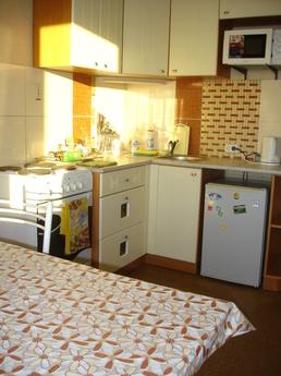 cozy and quiet apartment in the center, Tomsk - günlük kira için daire