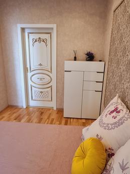 luxury apartment in the center, Saint Petersburg - günlük kira için daire