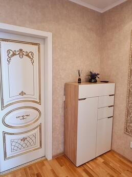 luxury apartment in the center, Saint Petersburg - günlük kira için daire