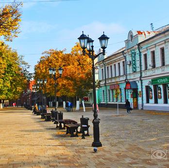 The historic center of Ryazan, Ryazan - günlük kira için daire