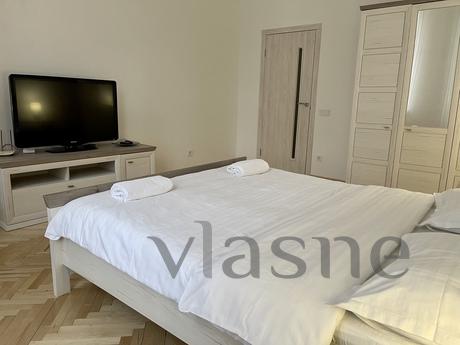 Pasaż Avangard Apartament Kryva Lypa, Lviv - mieszkanie po dobowo