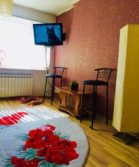 Room for 1-8 guests. Avenue. Mistress, Chernivtsi - günlük kira için daire