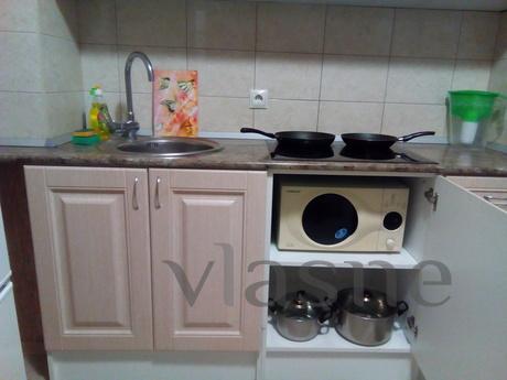 1 bedroom apartment for rent, Voronezh - günlük kira için daire