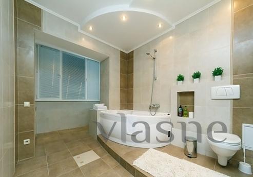 Luxury apartment in the center of Kiev, Kyiv - günlük kira için daire