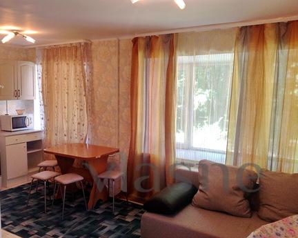 1 bedroom studio apartment, Ufa - günlük kira için daire