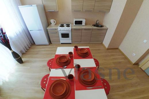 Elite 1 room apartment. with WI-FI, Kazan - apartment by the day