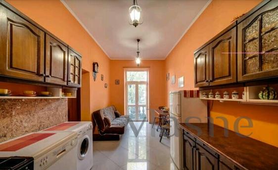 comfortable and spacious apartment, Lviv - günlük kira için daire