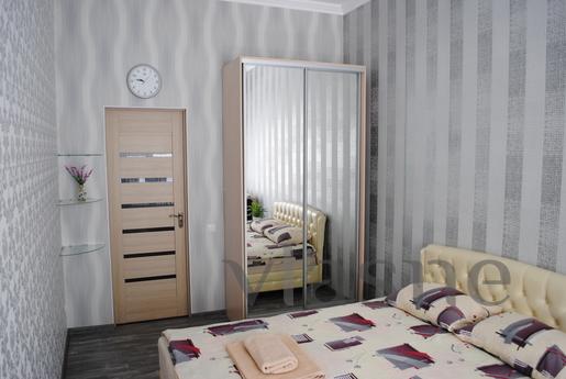 Rent rent one-bedroom apartment on Ekaterynynskoy 66. Large 