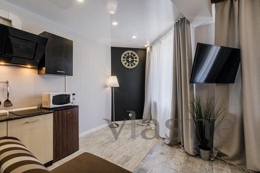 Studio apartment on Gorkovskaya, Saint Petersburg - günlük kira için daire