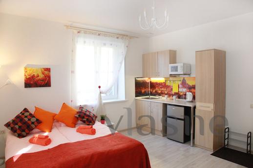 Apartment with all amenities, Moscow - günlük kira için daire