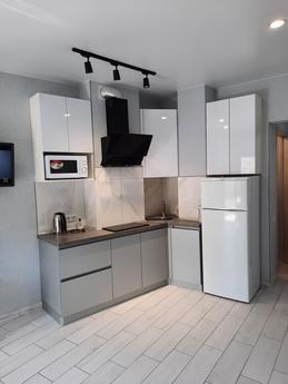 Sokakta bir stüdyo kiralayın. Primorskaya 22, yeni bir 7 kat