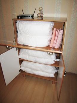 Clean and cozy apartment in the heart, Omsk - günlük kira için daire