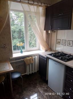 1bedroom Pobedy, Stalevarov, Zaporizhzhia - günlük kira için daire