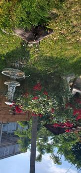 Deniz kenarında ev, Chernomorsk (Illichivsk) - günlük kira için daire