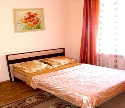 The apartment in the historic center of the Lviv city on an 