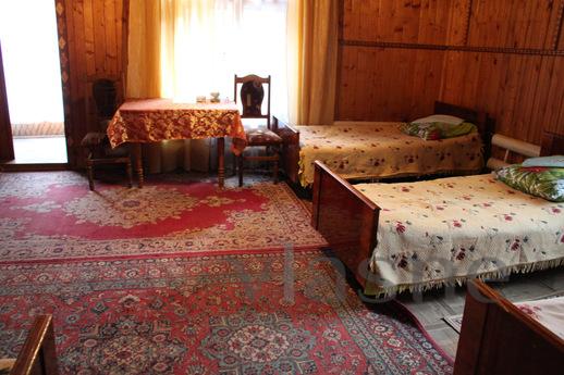 Smereka Region - Mezhgorye Soim, Mizhhiria - günlük kira için daire