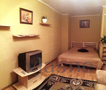 apartment in the center., Dnipro (Dnipropetrovsk) - günlük kira için daire