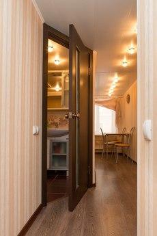 Cozy apartment near Chernyshevskaya, Saint Petersburg - apartment by the day