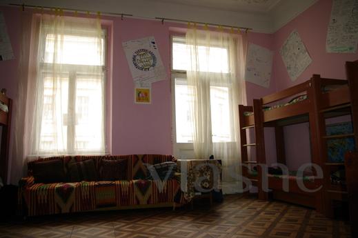 Hostel Cats' house, Lviv - mieszkanie po dobowo