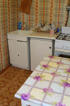 Apartment for New Darnitsa, Kyiv - apartment by the day