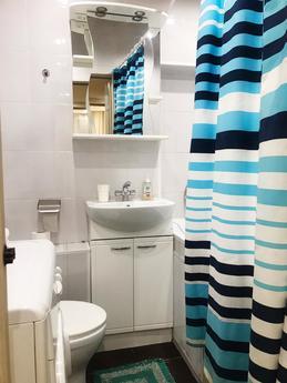 Cozy apartment near the metro, Moscow - apartment by the day