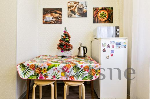 Cozy apartment near the metro, Moscow - apartment by the day