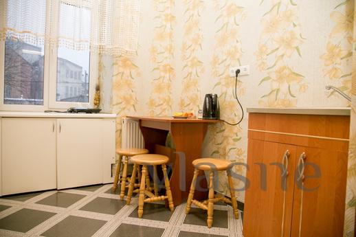 Comfortable apartment in the center, Lviv - mieszkanie po dobowo