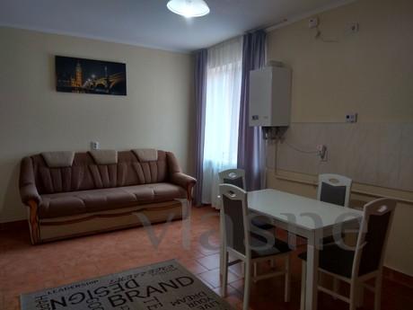 Large 1 room apartment in the center!, Mukacheve - günlük kira için daire