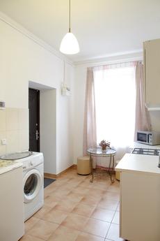 Cozy apartment near Opera, Lviv - mieszkanie po dobowo