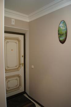 One-bedroom apartment near Neftegaz, Tyumen - günlük kira için daire