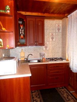 Mini-hotel for daily rent with meals, Kyiv - günlük kira için daire