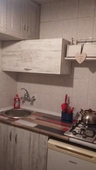 1 bedroom apartment in Tbilisi, Tbilisi - apartment by the day