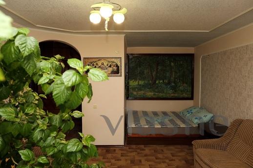Denize yakın rahat 1 yatak odalı daire, Berdiansk - günlük kira için daire