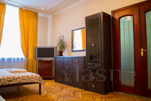 Cozy, spacious apartment in the heart of the city of Lion. T