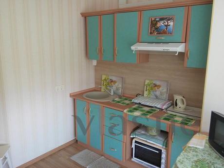 1 bedroom apartment with panoramic view, Chernomorsk (Illichivsk) - apartment by the day