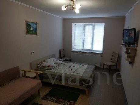 1 bedroom apartment in the center, Ivano-Frankivsk - günlük kira için daire