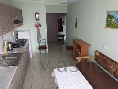 1 bedroom apartment in the center, Ivano-Frankivsk - mieszkanie po dobowo
