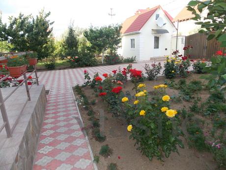 A country house near the Black Sea, Zatoka - mieszkanie po dobowo