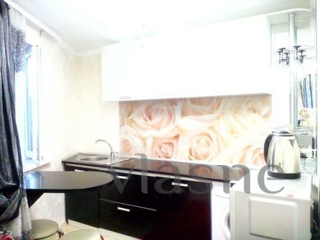 1 bedroom apartment for rent, Kropyvnytskyi (Kirovohrad) - apartment by the day